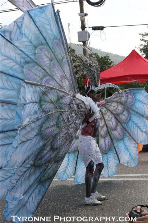 TT-Carnival-2014-030