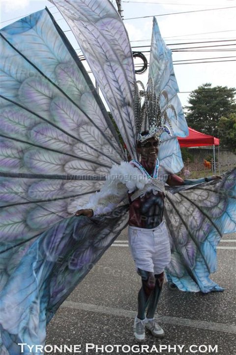 TT-Carnival-2014-036