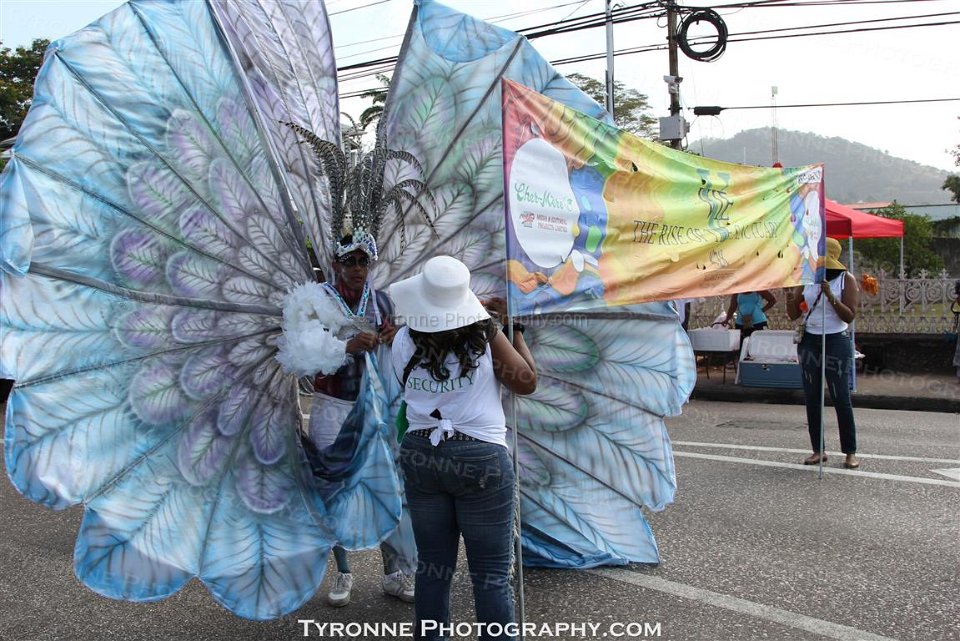 TT-Carnival-2014-040