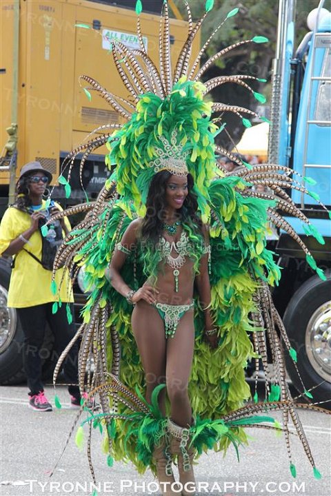 TT-Carnival-2014-110