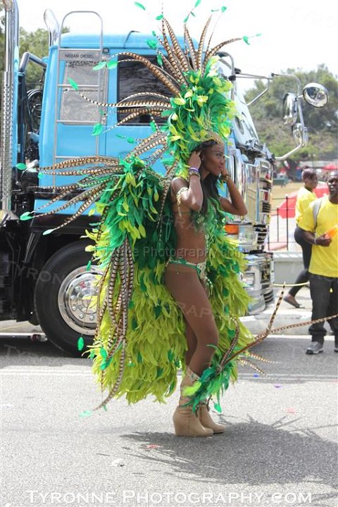 TT-Carnival-2014-128