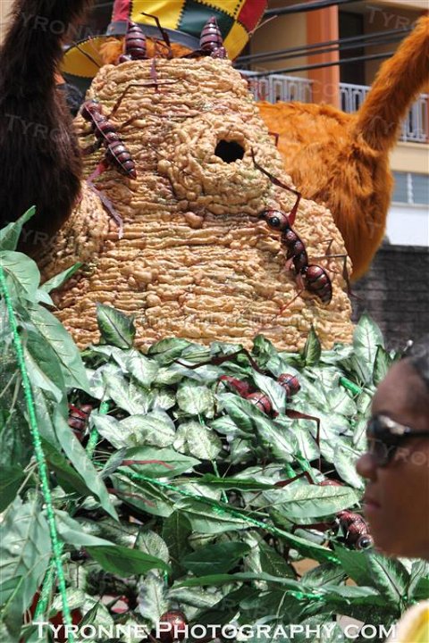 TT-Carnival-2014-621